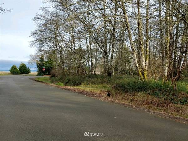 441 Duck Lake DR NE, Ocean Shores, WA 98569