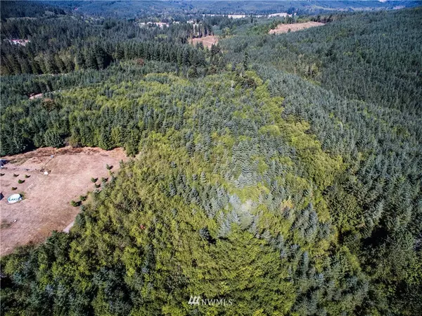 Castle Rock, WA 98611,0 Lot 3 Twins LN