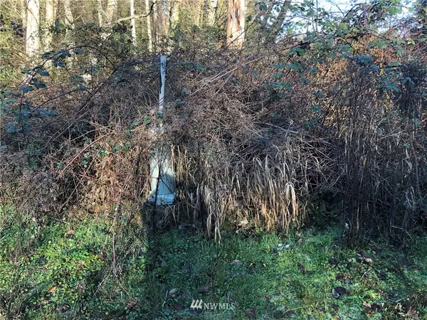 0 Lot 3 Watkins RD, Freeland, WA 98249