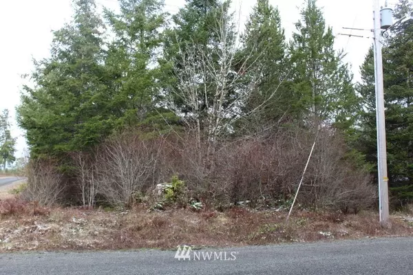 73 W lot on Fish Hatchery RD, Matlock, WA 98541