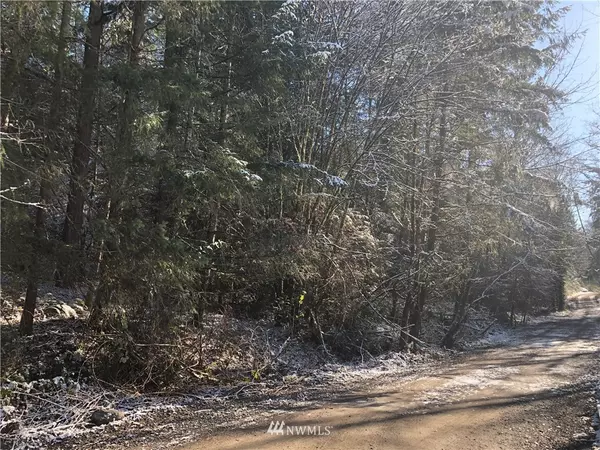 0 82nd Ave S, Roy, WA 98580