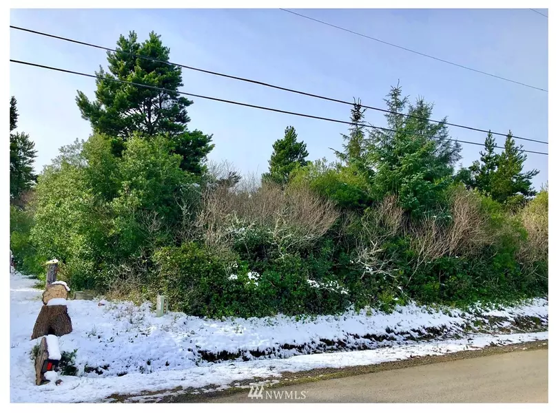 377 S Razor Clam DR SW, Ocean Shores, WA 98569