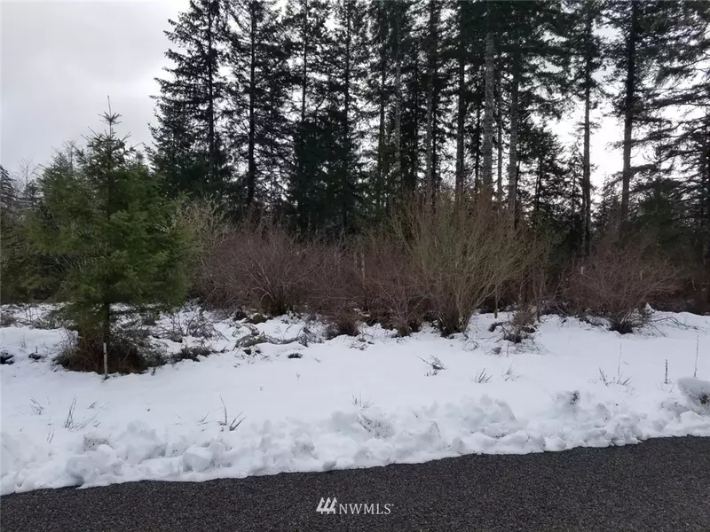 130 W Salmonberry DR, Elma, WA 98541