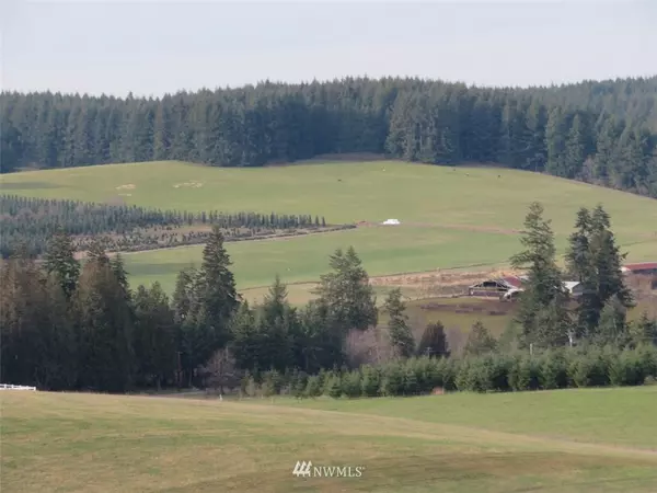 0 Lot B Mohoric RD, Adna, WA 98522