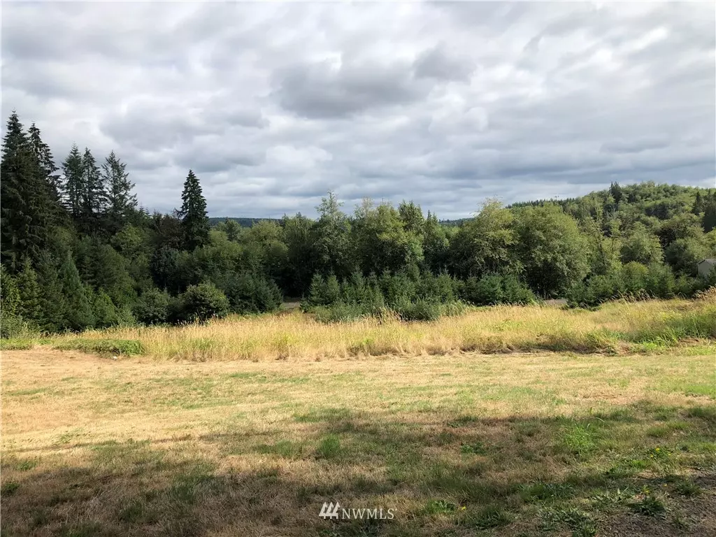 Elma, WA 98541,67 Hicklin RD