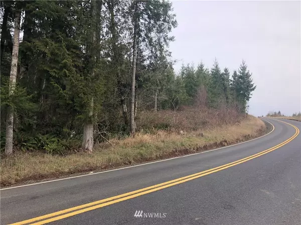 Kelso, WA 98626,0 Mt Brynion RD