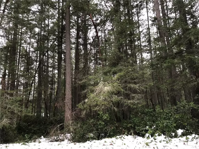 12919 101st StCt, Anderson Island, WA 98303