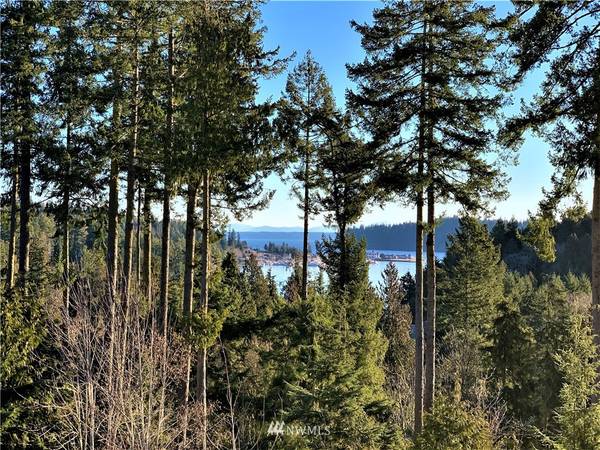 134 Timber Meadow DR, Port Ludlow, WA 98365