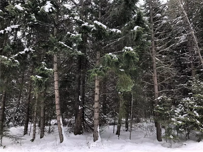 0 Lot 7 Nelson Siding Road, Cle Elum, WA 98922