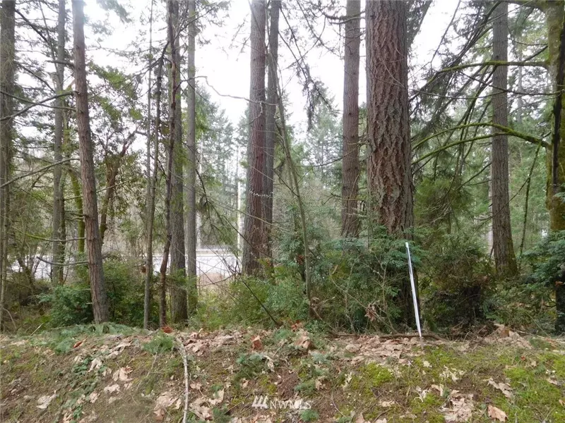 5610 Wollochet DR NW, Gig Harbor, WA 98335