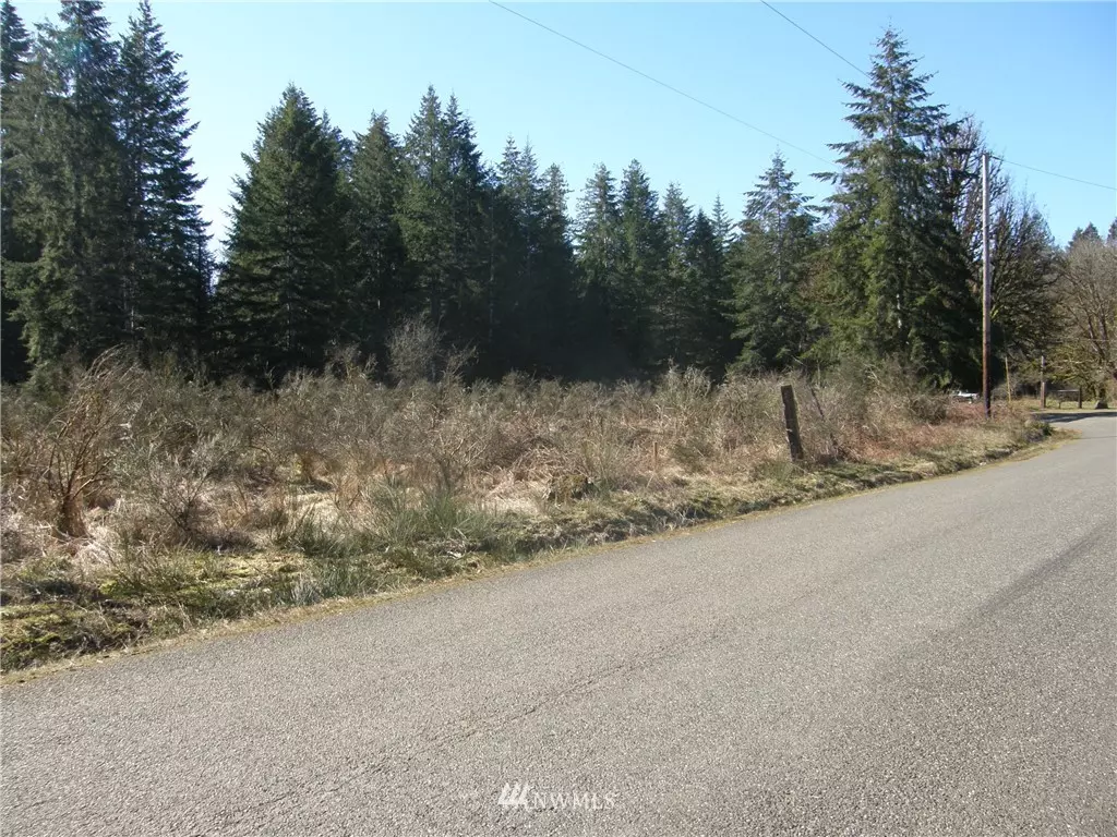 Elma, WA 98541,0 Lot 1 W Benthein RD