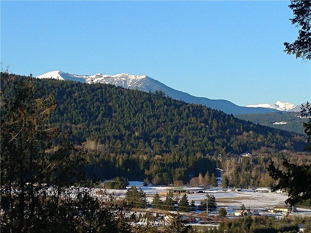 Sequim, WA 98382,1863 Doe Run