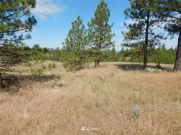 Creston, WA 99117,0 Lot 8 Prairie LN N