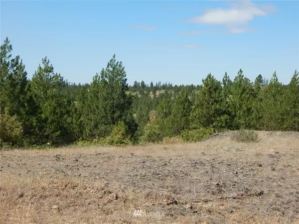 Creston, WA 99117,0 Lot 8 Prairie LN N