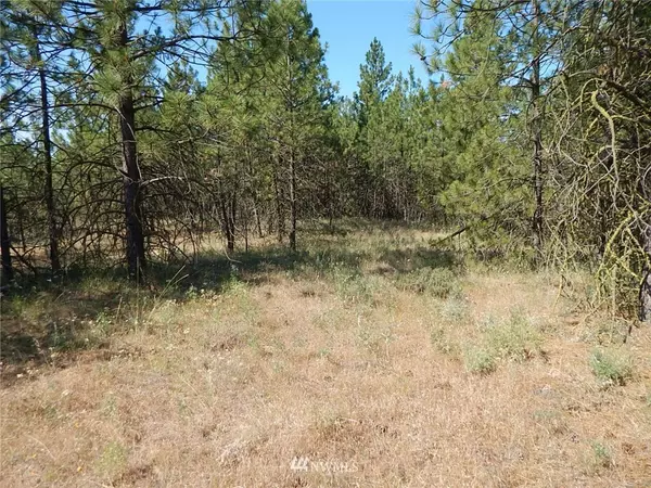 Creston, WA 99117,0 Lot 12 Prairie LN N