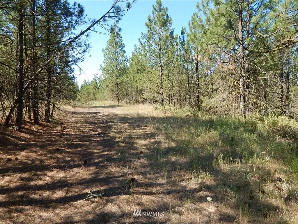 Creston, WA 99117,0 Lot 13 Prairie LN N