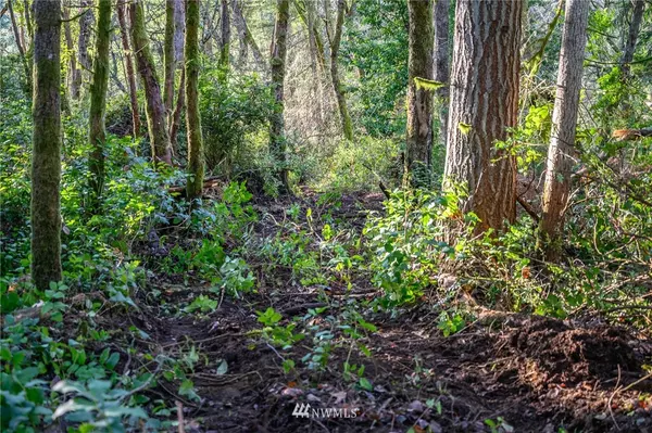 Vashon, WA 98070,0 xxx Cemetery RD SW