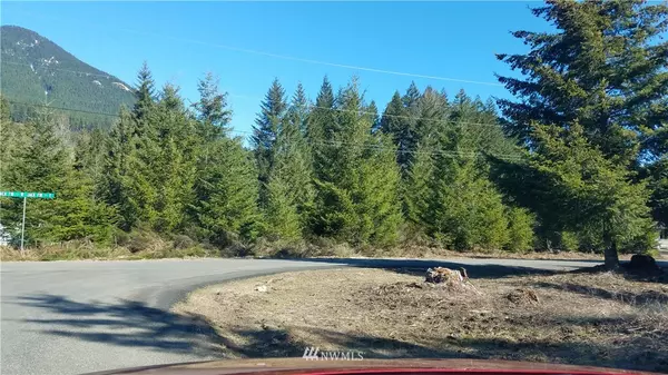 Packwood, WA 98361,36 lot36/37 Jack Fir CT