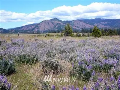 Cle Elum, WA 98922,830 (Lot 7) Leo LN