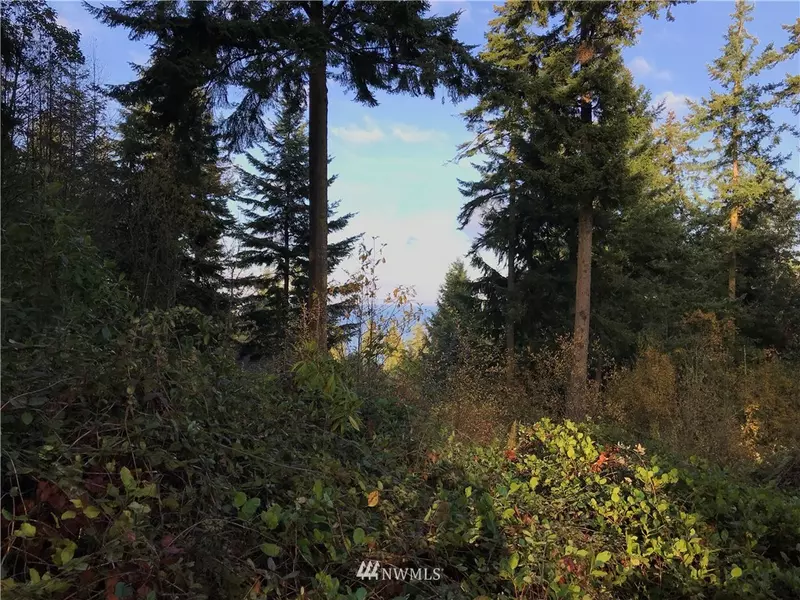241 Lot Belvedere DR, Port Townsend, WA 98368