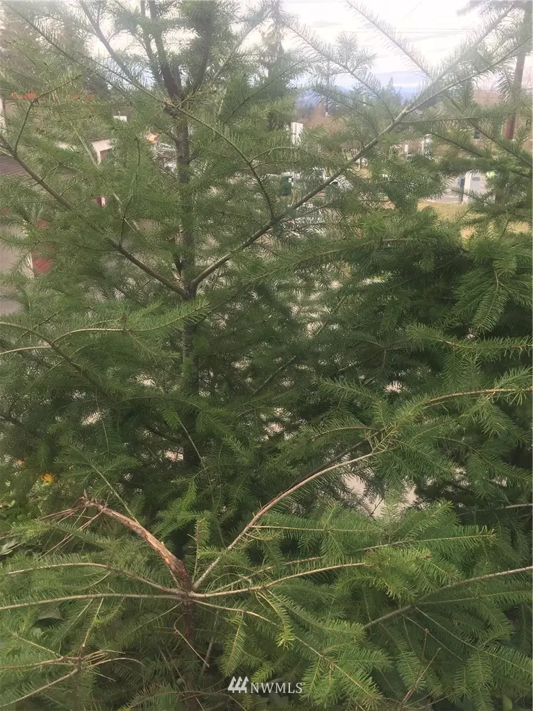 Port Orchard, WA 98366,1418 Sidney AVE