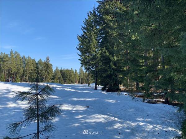 1850 Larkspur LOOP, Cle Elum, WA 98922