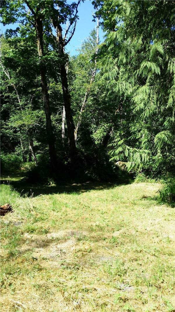 9999 Machias Loop, Port Ludlow, WA 98365