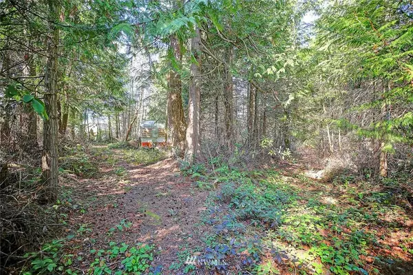 Camano Island, WA 98282,0 Lot 38 Easy ST