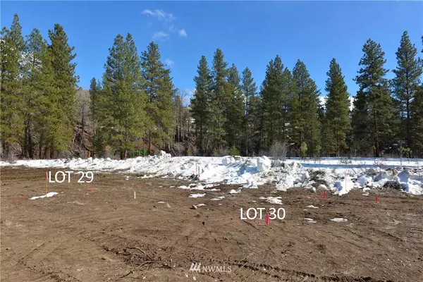 Winthrop, WA 98862,29 LOT Pine LOOP