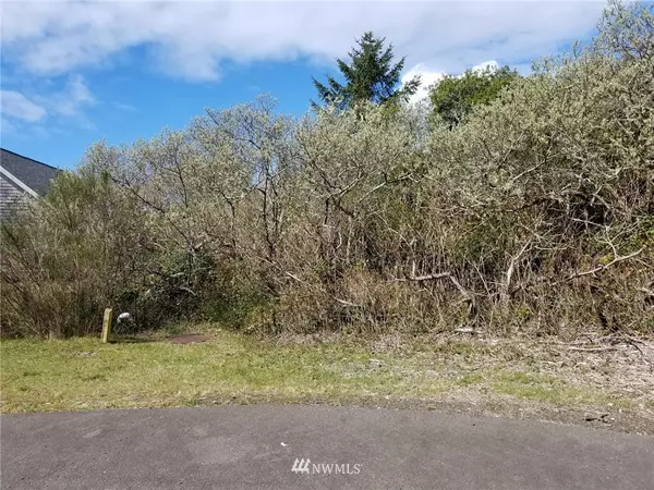 256 Otter CT SW, Ocean Shores, WA 98569