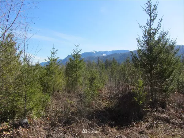 9254 Heady RD, Sumas, WA 98295