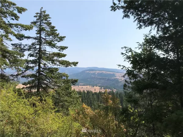 Cle Elum, WA 98922,0 Lot 4D Hidden Valley Terrace