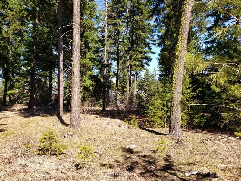 720 Maple Leaf LOOP, Cle Elum, WA 98922