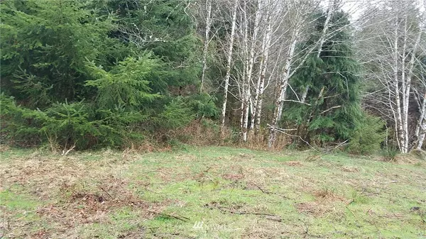 Naselle, WA 98638,9999 South Valley Rd  lot #7