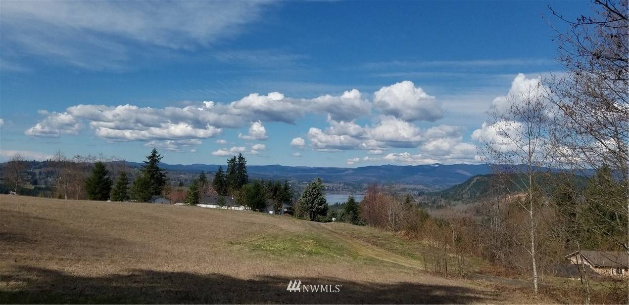 Mossyrock, WA 98564,115 Segura Ridge RD