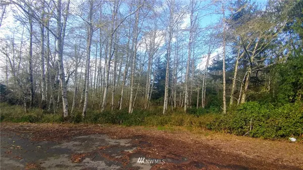 662 Sea Mast CT NE, Ocean Shores, WA 98569