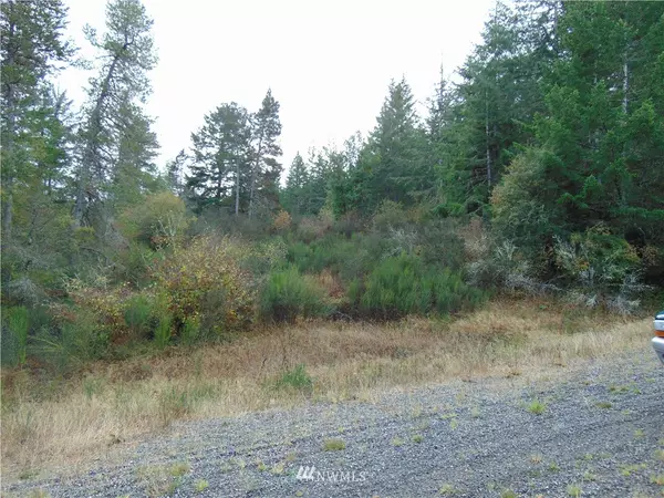 0 E Capital Prairie RD, Shelton, WA 98594