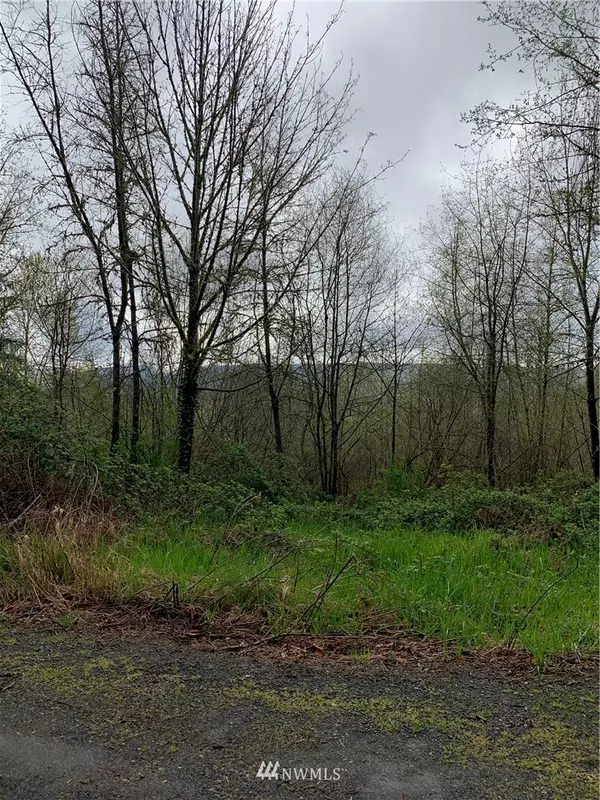 Mossyrock, WA 98564,0 Schoen RD