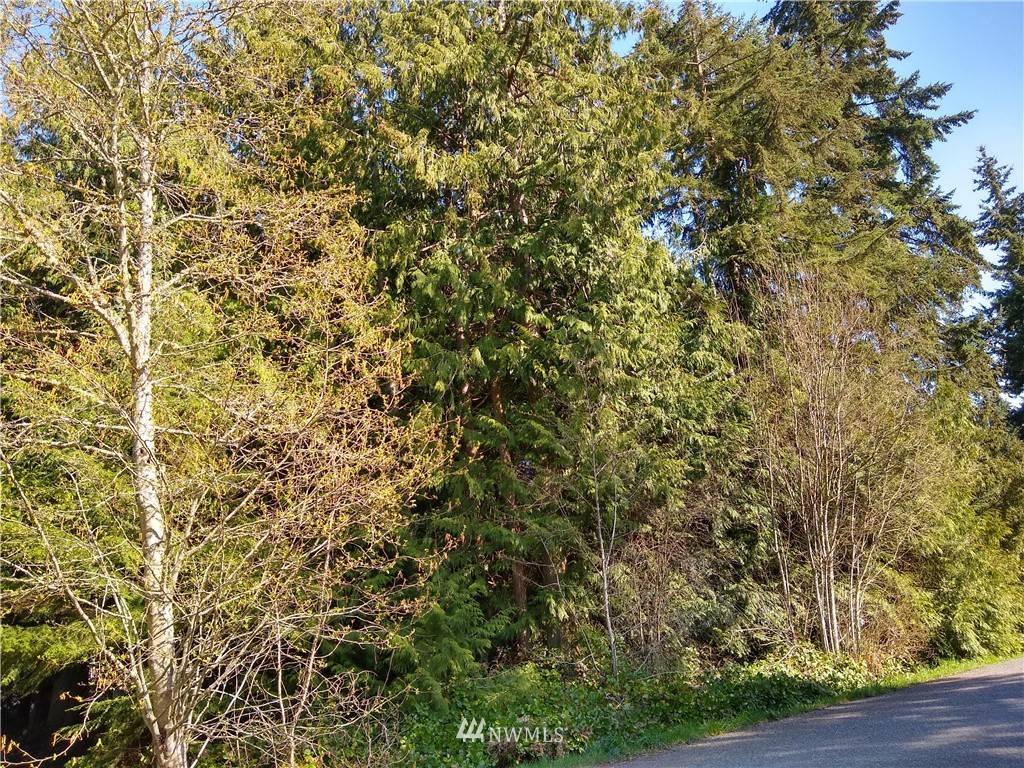 0 El Camino Pl. DR, Sequim, WA 98382