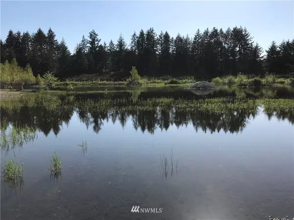 Oakville, WA 98568,0 S Bank RD