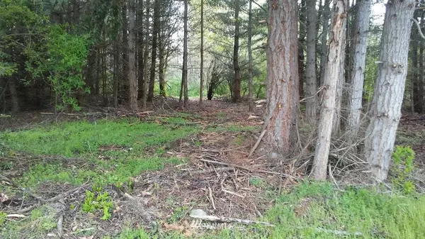 1398 Crestview DR, Camano Island, WA 98282