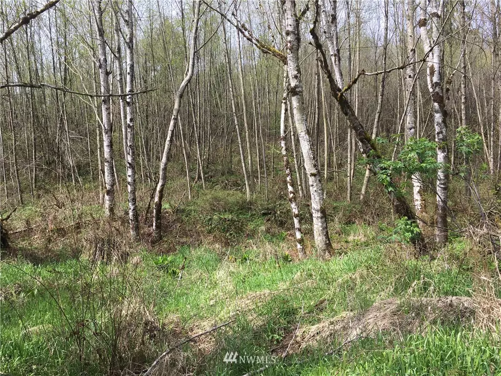 Onalaska, WA 98570,0 0 Burchett RD