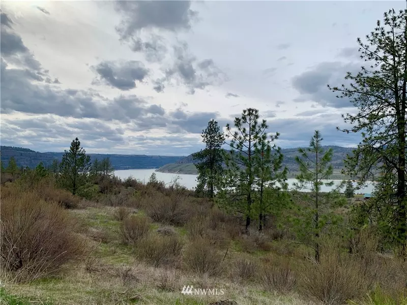 39325 Gunsight Bluff N, Seven Bays, WA 99122