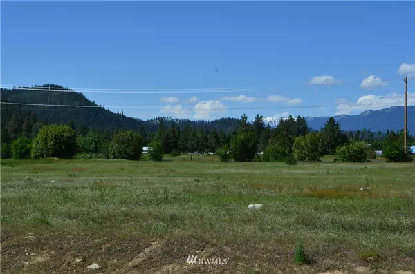 Leavenworth, WA 98826,12360 Plain Ranches RD