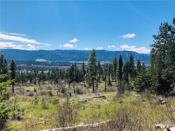 Cle Elum, WA 98922,0 Lot 6 Owl Ridge DR