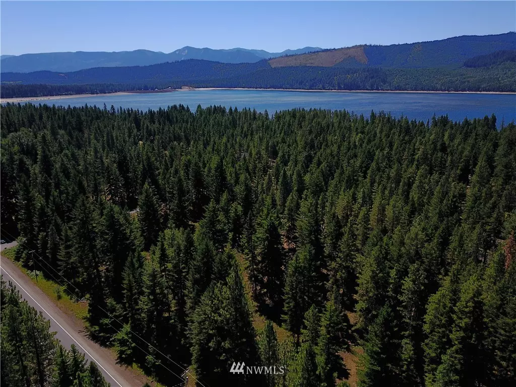 Ronald, WA 98940,0 Lot A Lot-A Salmon La Sac RD