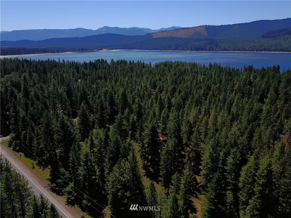 Ronald, WA 98940,0 Lot A Lot-A Salmon La Sac RD