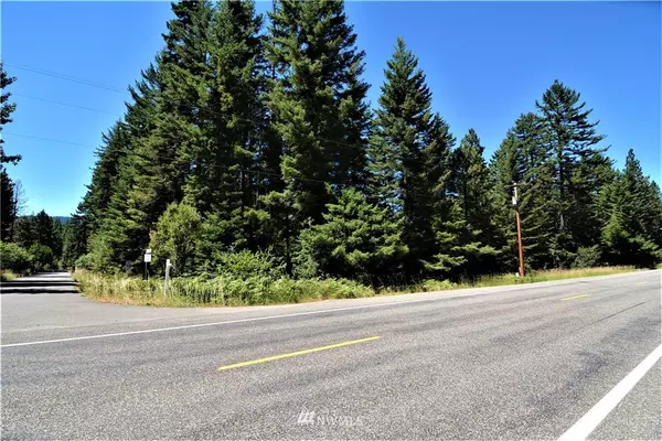 Ronald, WA 98940,0 Lot A Lot-A Salmon La Sac RD