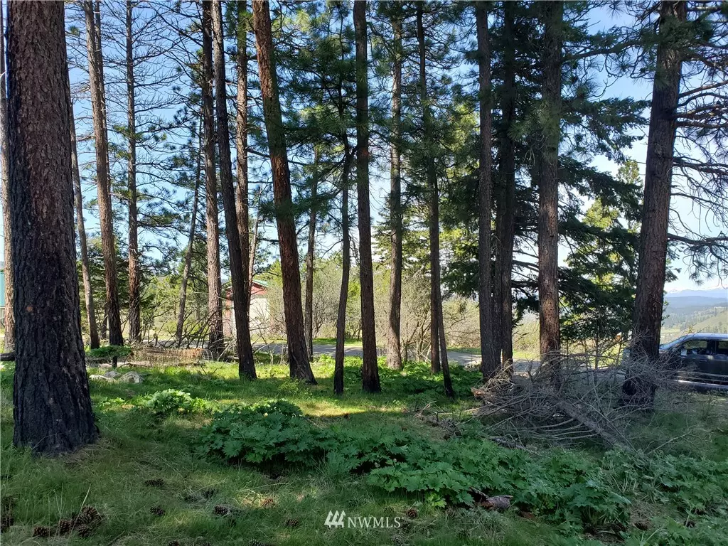 Cle Elum, WA 98922,7 Lot 7 Morrison Canyon LN