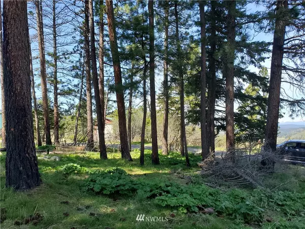 7 Lot 7 Morrison Canyon LN, Cle Elum, WA 98922